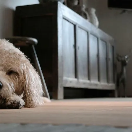 Romantikhuette Rothaarsteig 別荘 シュマレンベルク