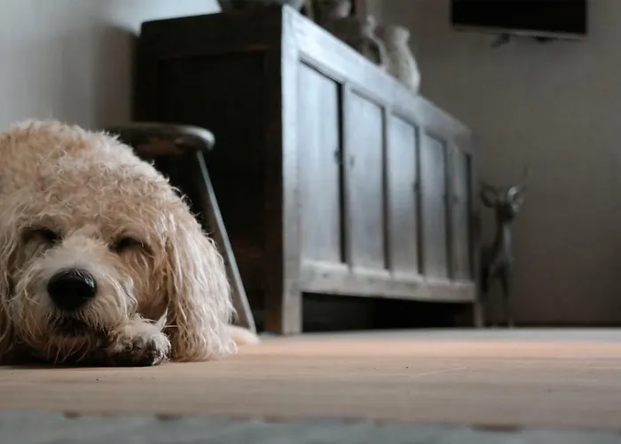Romantikhuette Rothaarsteig Feriehus Schmallenberg